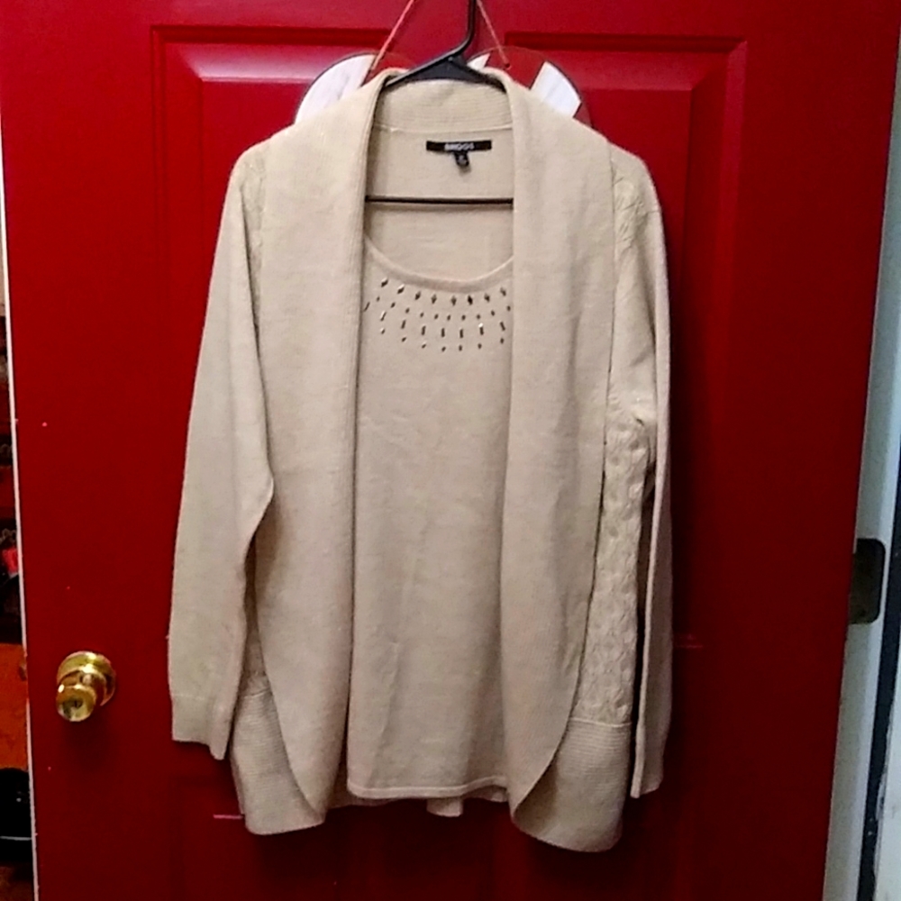 Briggs all in one sweater/shirt